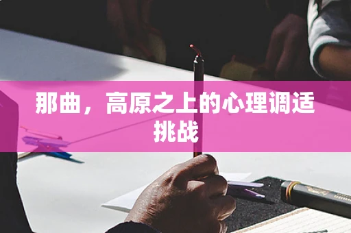 那曲，高原之上的心理调适挑战