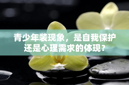 青少年装现象，是自我保护还是心理需求的体现？