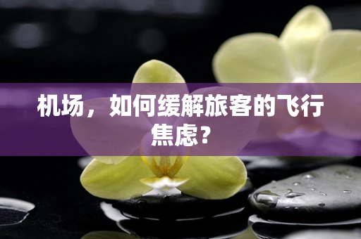 机场，如何缓解旅客的飞行焦虑？