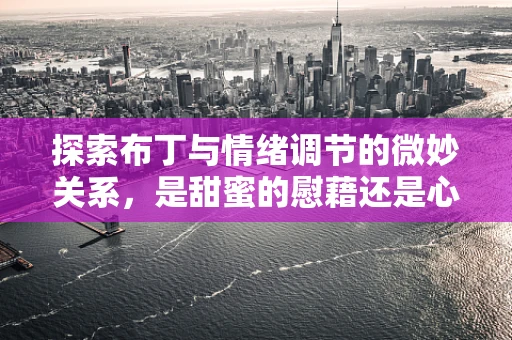 探索布丁与情绪调节的微妙关系，是甜蜜的慰藉还是心理的负担？