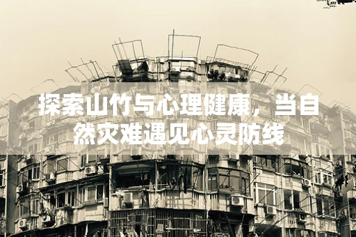 探索山竹与心理健康，当自然灾难遇见心灵防线