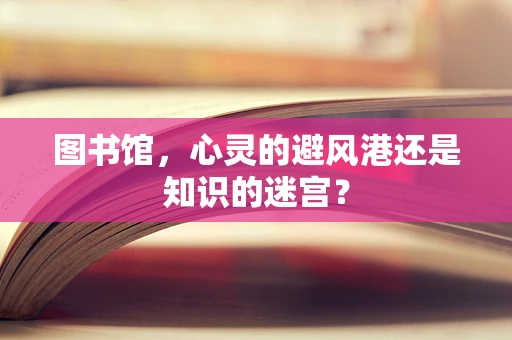 图书馆，心灵的避风港还是知识的迷宫？
