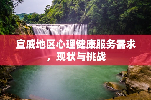 宣威地区心理健康服务需求，现状与挑战