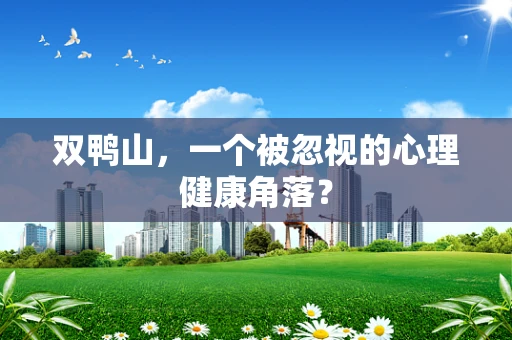 双鸭山，一个被忽视的心理健康角落？