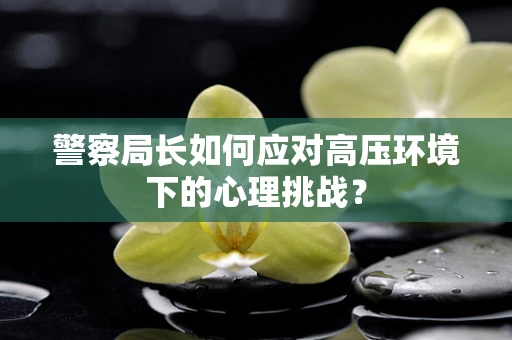 警察局长如何应对高压环境下的心理挑战？