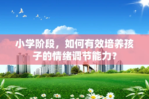 小学阶段，如何有效培养孩子的情绪调节能力？