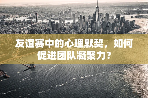 友谊赛中的心理默契，如何促进团队凝聚力？