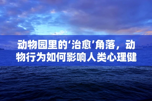 动物园里的‘治愈’角落，动物行为如何影响人类心理健康？