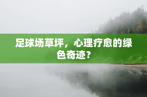 足球场草坪，心理疗愈的绿色奇迹？