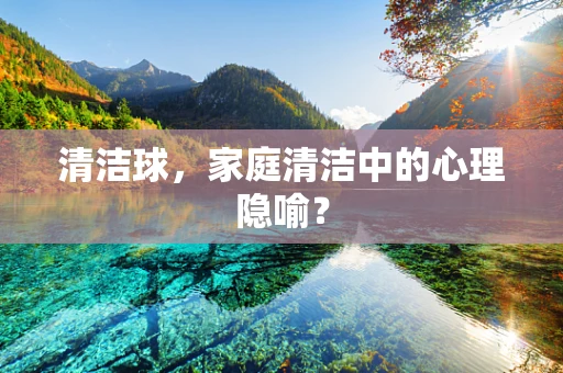 清洁球，家庭清洁中的心理隐喻？