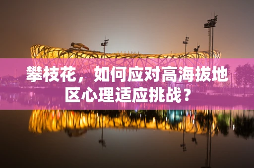 攀枝花，如何应对高海拔地区心理适应挑战？