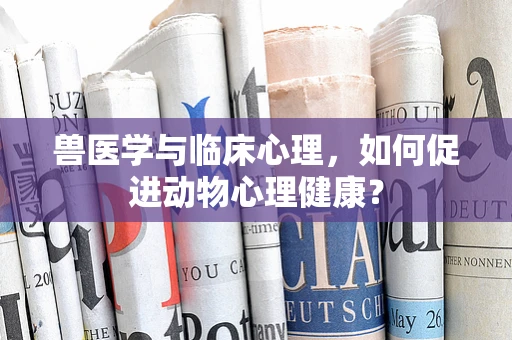 兽医学与临床心理，如何促进动物心理健康？