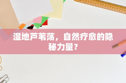 湿地芦苇荡，自然疗愈的隐秘力量？