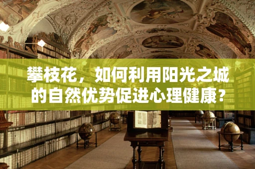 攀枝花，如何利用阳光之城的自然优势促进心理健康？