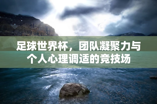 足球世界杯，团队凝聚力与个人心理调适的竞技场