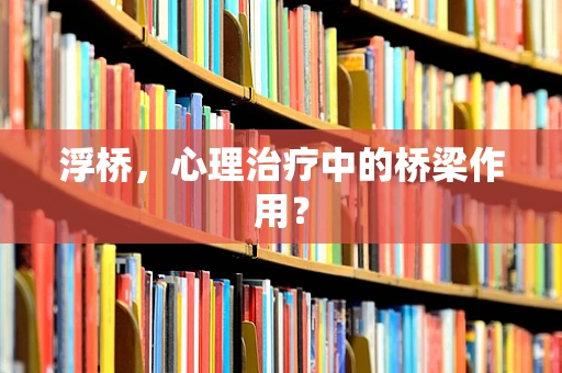 浮桥，心理治疗中的桥梁作用？