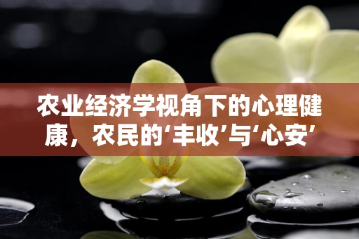 农业经济学视角下的心理健康，农民的‘丰收’与‘心安’