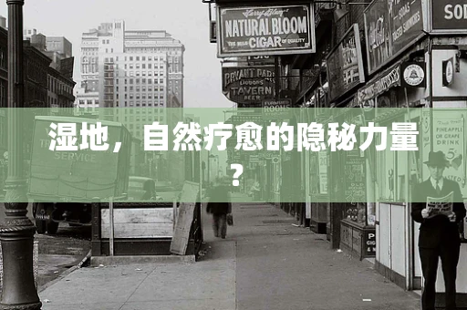 湿地，自然疗愈的隐秘力量？