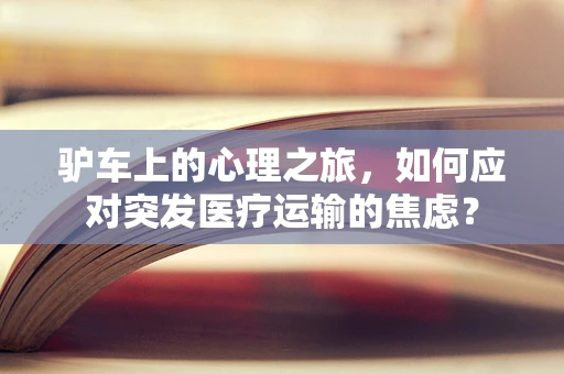 驴车上的心理之旅，如何应对突发医疗运输的焦虑？