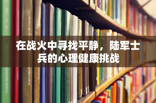 在战火中寻找平静，陆军士兵的心理健康挑战