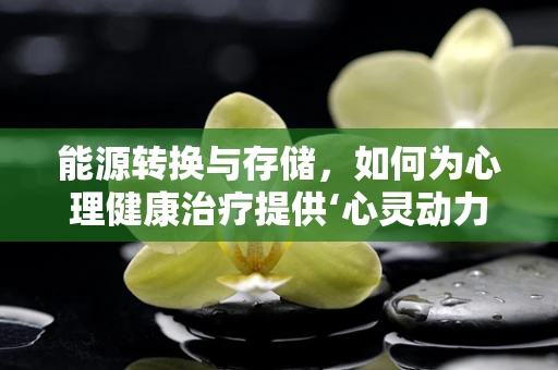 能源转换与存储，如何为心理健康治疗提供‘心灵动力’？