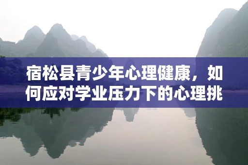 宿松县青少年心理健康，如何应对学业压力下的心理挑战？