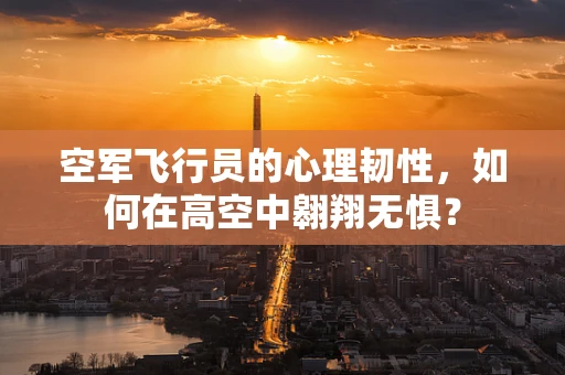 空军飞行员的心理韧性，如何在高空中翱翔无惧？