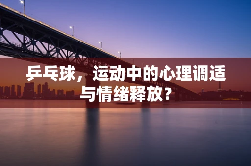乒乓球，运动中的心理调适与情绪释放？