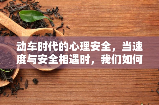 动车时代的心理安全，当速度与安全相遇时，我们如何保持心理平衡？