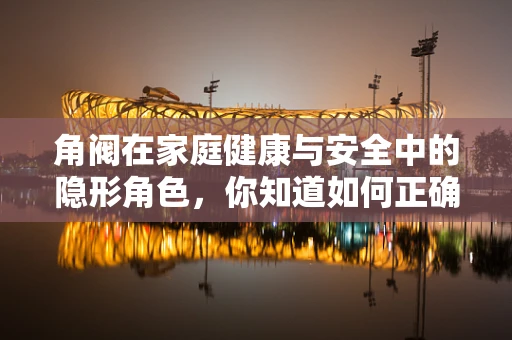 角阀在家庭健康与安全中的隐形角色，你知道如何正确选择与维护吗？