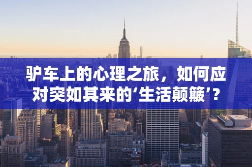 驴车上的心理之旅，如何应对突如其来的‘生活颠簸’？