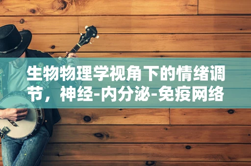 生物物理学视角下的情绪调节，神经-内分泌-免疫网络的微妙平衡