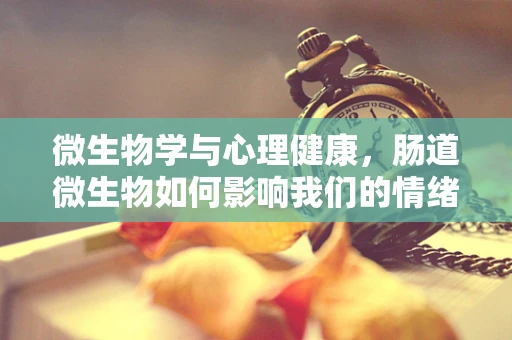 微生物学与心理健康，肠道微生物如何影响我们的情绪？
