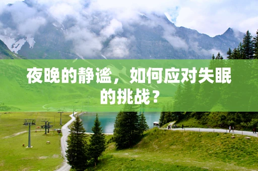 夜晚的静谧，如何应对失眠的挑战？
