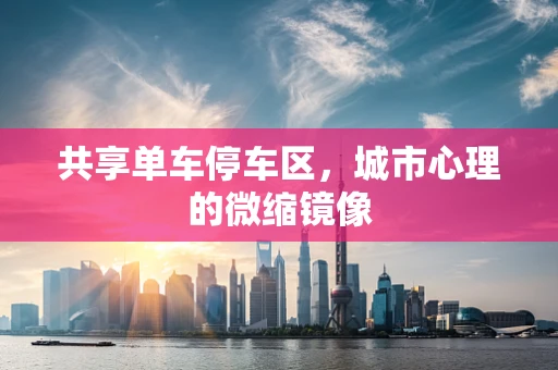 共享单车停车区，城市心理的微缩镜像