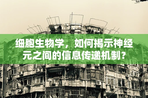 细胞生物学，如何揭示神经元之间的信息传递机制？