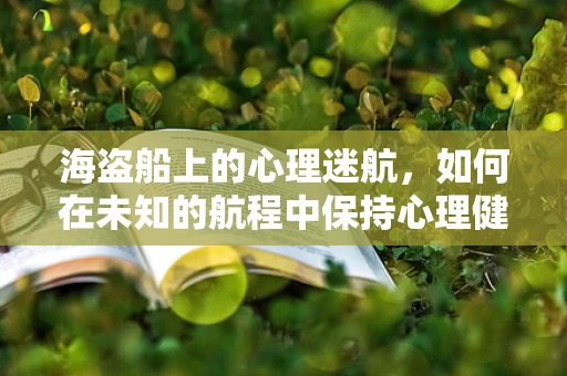 海盗船上的心理迷航，如何在未知的航程中保持心理健康？