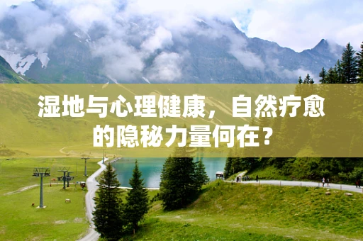 湿地与心理健康，自然疗愈的隐秘力量何在？