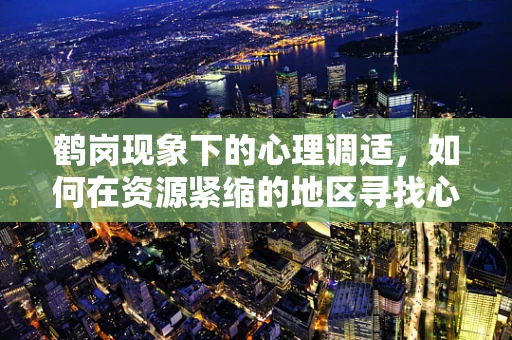 鹤岗现象下的心理调适，如何在资源紧缩的地区寻找心理支持？