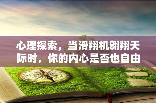 心理探索，当滑翔机翱翔天际时，你的内心是否也自由飞翔？