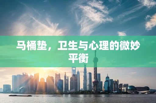 马桶垫，卫生与心理的微妙平衡