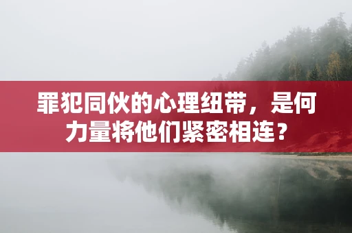 罪犯同伙的心理纽带，是何力量将他们紧密相连？