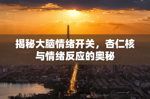 揭秘大脑情绪开关，杏仁核与情绪反应的奥秘