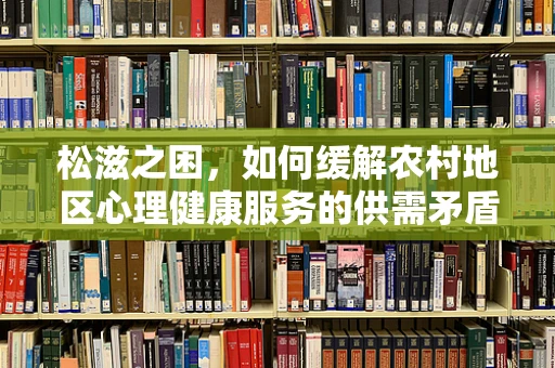 松滋之困，如何缓解农村地区心理健康服务的供需矛盾？