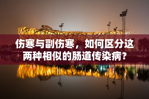 伤寒与副伤寒，如何区分这两种相似的肠道传染病？
