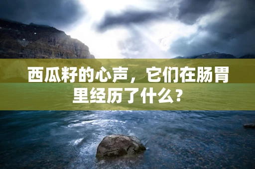 西瓜籽的心声，它们在肠胃里经历了什么？