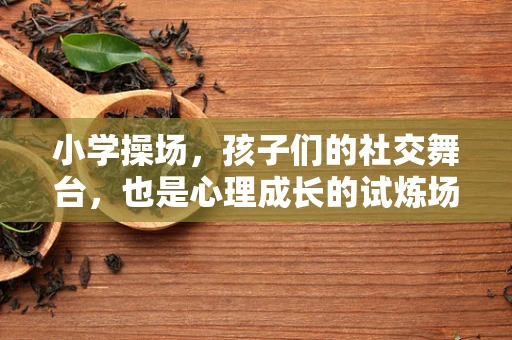 小学操场，孩子们的社交舞台，也是心理成长的试炼场？