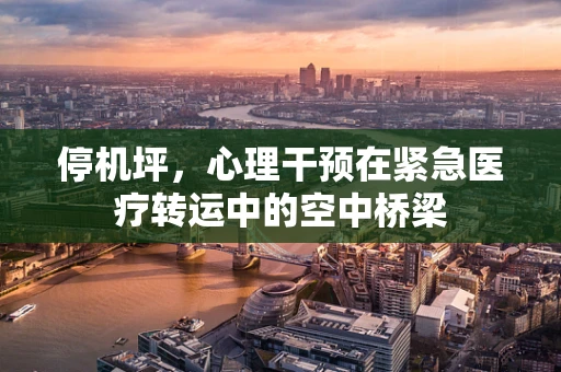 停机坪，心理干预在紧急医疗转运中的空中桥梁