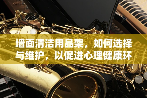 墙面清洁用品架，如何选择与维护，以促进心理健康环境？