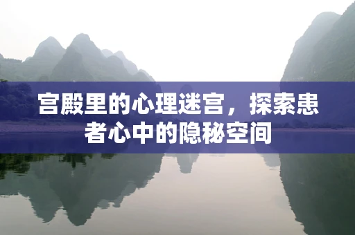宫殿里的心理迷宫，探索患者心中的隐秘空间